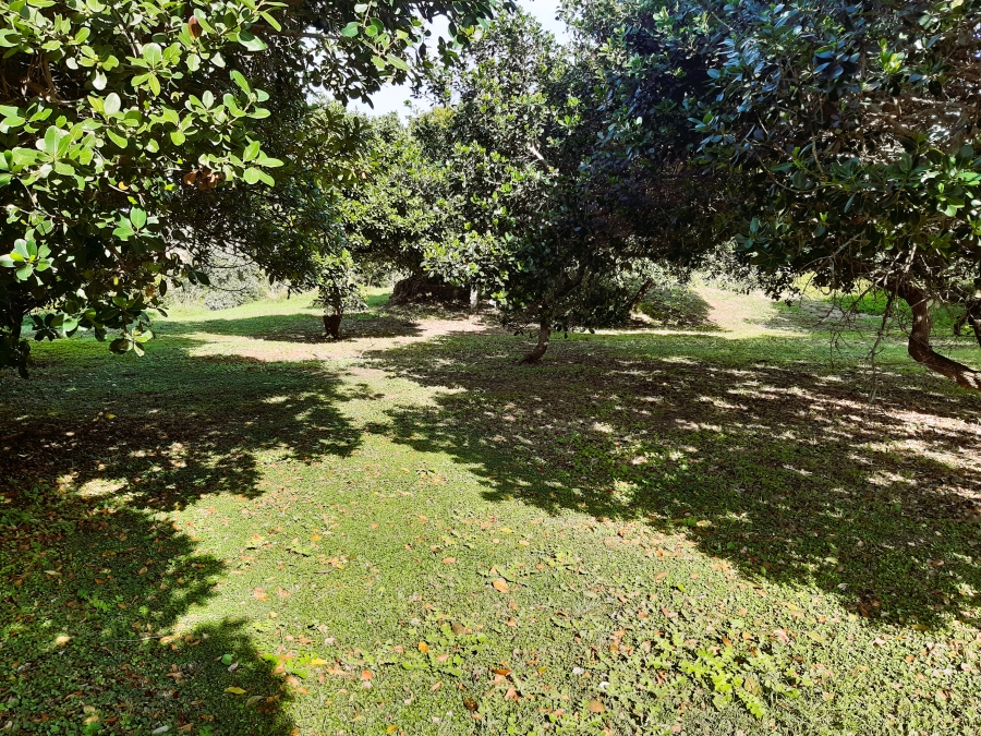 0 Bedroom Property for Sale in Paradise Beach Eastern Cape